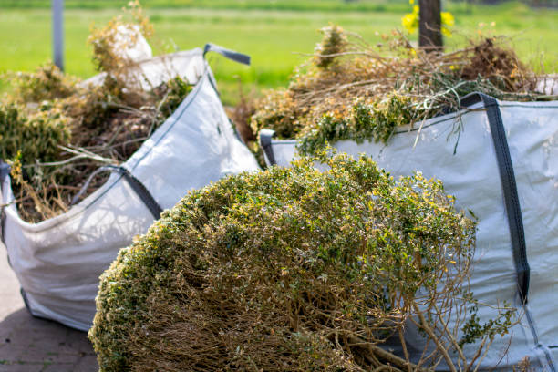 Best Local Junk Hauling  in Bridgeport, NY